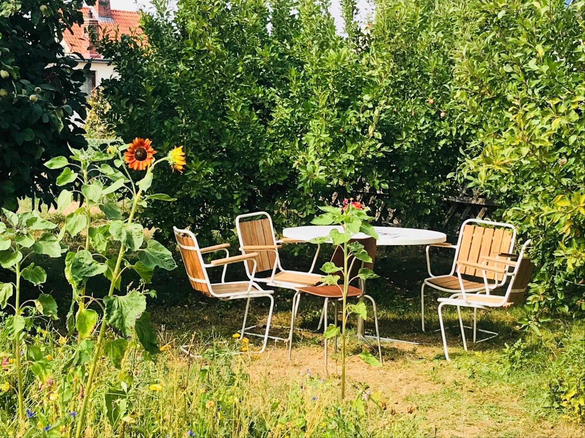 Casa Marcu Wohnung 1 Og Landkirchen エクステリア 写真